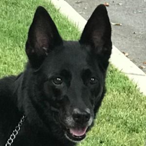 Meet your Posher, Leah